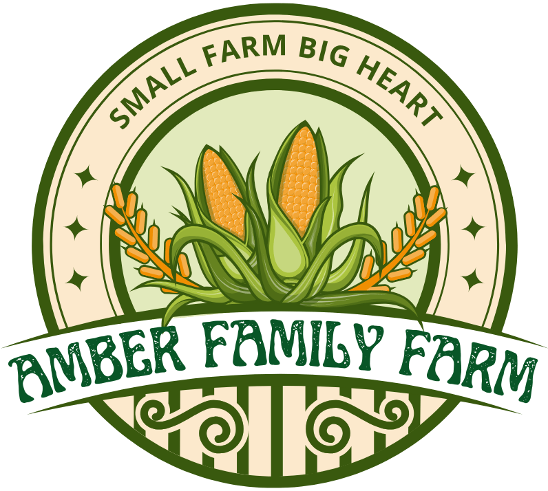 AMBER FAMILY FARM